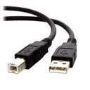 Xtech - USB cable - 3.04 m - 4 pin USB Type B - 4 pin USB Type A - 2.0 male-male mold