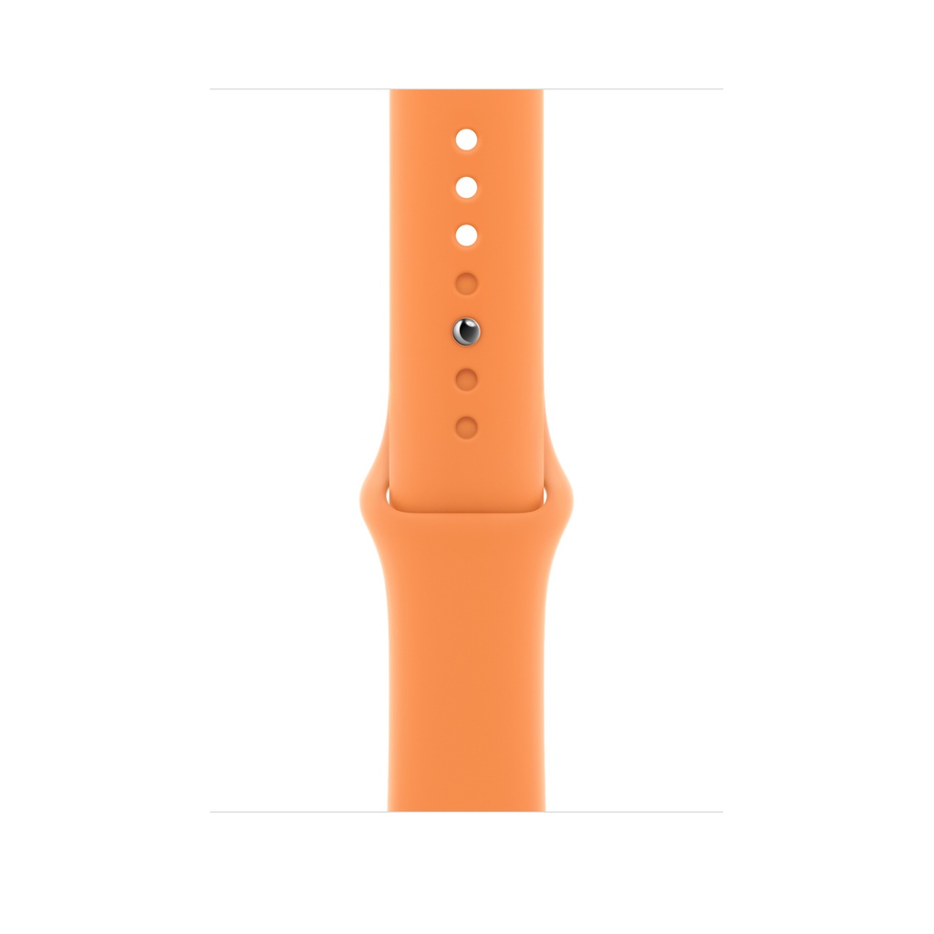 Apple Watch - Smart watch - Gold - SE GPS 44mm with Sta