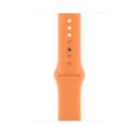 Apple Watch - Smart watch - Gold - SE GPS 44mm with Sta