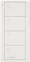 CONTROL REMOTO PICO 4 BOTONES