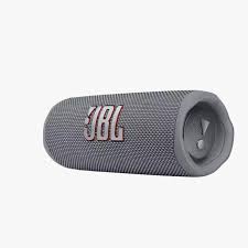 JBL Flip 6 - Speaker - Gray