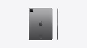 Apple Ipad Pro - 11" - iPad OS 16 - Gray - Wi-Fi+Cellular 256GB Space Gre