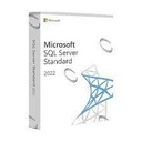 DG7GMGF0M80J - SQL Server Standard 2022 Commercial Perpetual