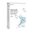 DG7GMGF0M80J - SQL Server Standard 2022 Commercial Perpetual