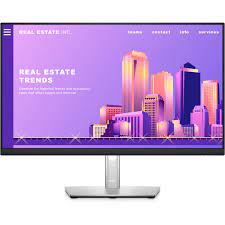 Dell P2422H - 23.8" - 1920 x 1080 - HDMI / DisplayPort / USB / VGA