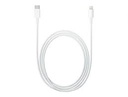 Apple - Cable USB - 24 pin USB-C (M) a 24 pin USB-C (M) - 1 m