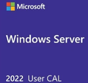 Microsoft Windows Server 2022 - Licencia - 5 usuarios CAL - OEM - Español