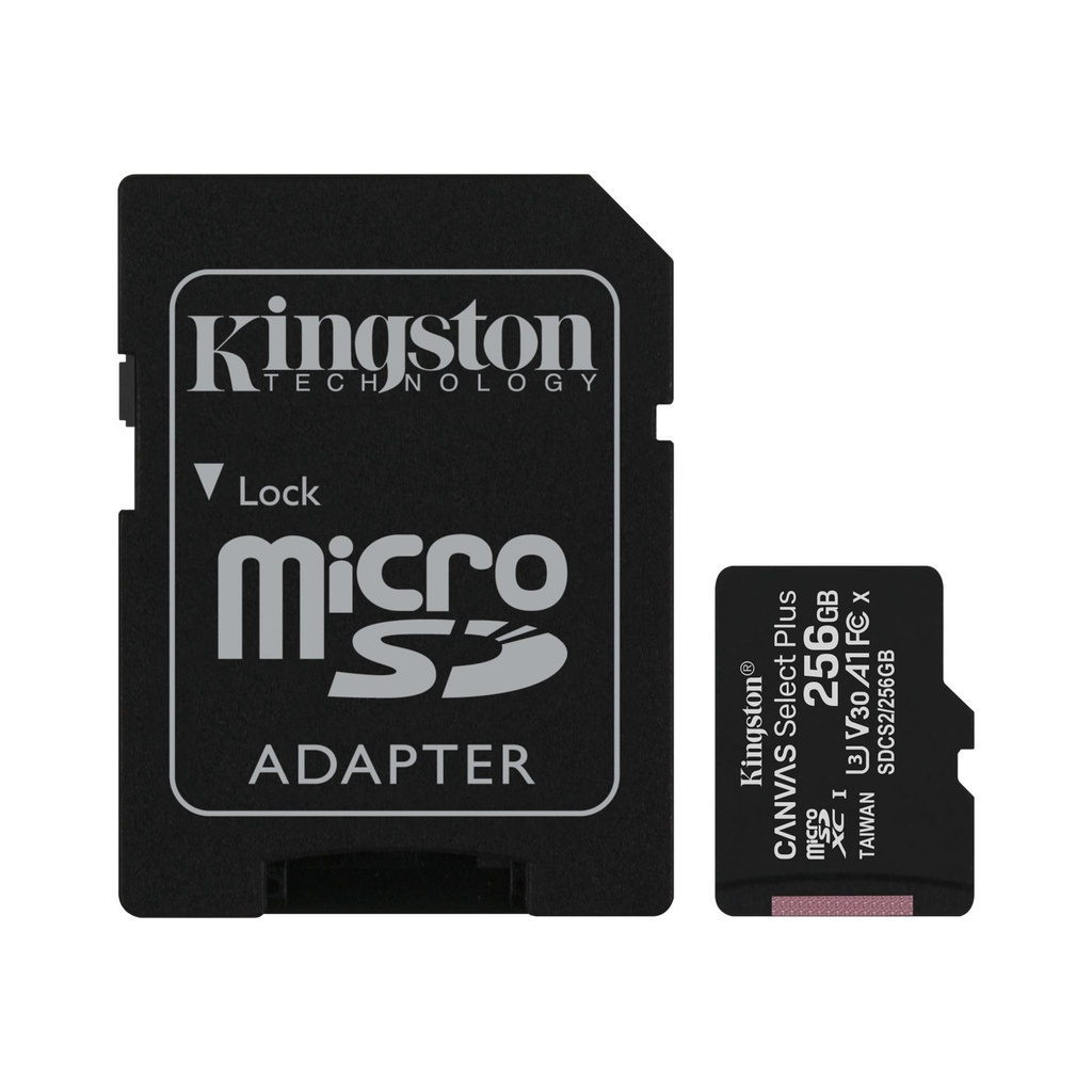 SDCS2256GBTW-MicroSD de 256GB