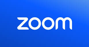 Zoom Work place Pro 1 Usuario(s) Suscripción Anual