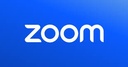 Zoom Work place Pro 1 Usuario(s) Suscripción Anual