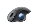 Logitech Ergo Series - Mouse - Graphite+Blue