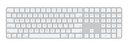 Apple - Keyboard - US English - Magic - MXK73LL/A