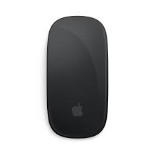 Apple - Magic Mouse - Black Multi-Touc