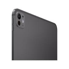 Apple Ipad Pro - 11" - iPad OS 17 - M4 - Black - 256GB MVW13CL/A