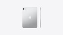 Apple Ipad Pro - 11" - iPad OS 17 - M4 - Silver - 256GB MVW23CL/A