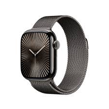 Apple - Sport Loop - Slate - 42mm