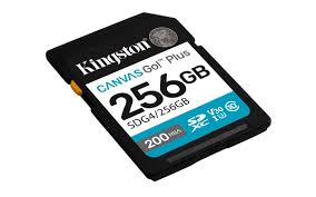 Kingston - Flash memory card - SDXC Canvas - 256GB SDXC Canvas Go Plus Gen4