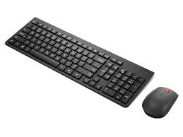 Lenovo - Keyboard and mouse pad - Essential Wireless Combo