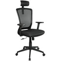 Xtech - Executive Chair XTF-OC415