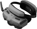 DJI - Goggles 3