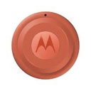 Motorola - Tag - Arabesque and Laurel Oak