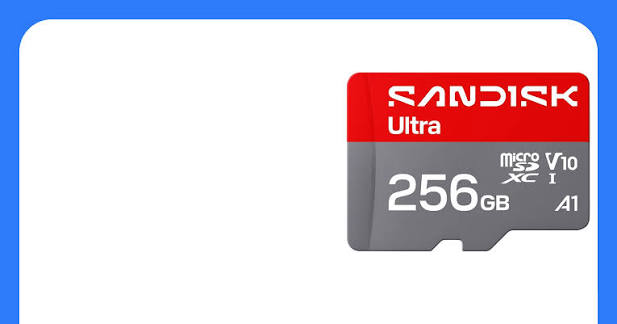 SanDisk - Flash memory card - Ultra Go microSD UHS-I 256GB M