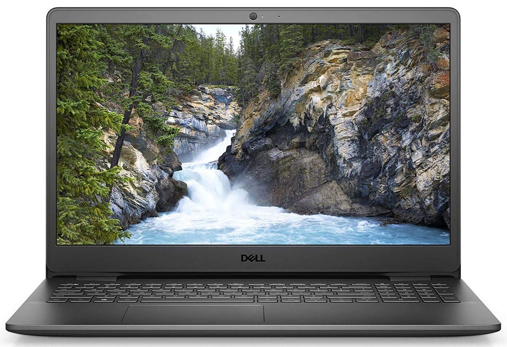 Dell Inspiron 3501 - Notebook - 15.6" - Intel Core i3 I3-1005G1 - 4 GB - 1 TB - Windows 10 Home - Silver - English - 1-year warranty