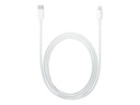 Apple - Charge/Sync cable - USB to Ligh Cable 1m