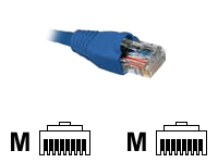 Nexxt - Cable de interconexión - RJ-45 (M) a RJ-45 (M) - 3m - UTP - CAT 5e - moldeado, trenzado - azul