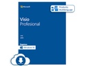 Microsoft Visio Professional 2019 - Licencia - 1 PC - descarga - ESD - al por menor nacional, Click-to-Run - Win - All Languages