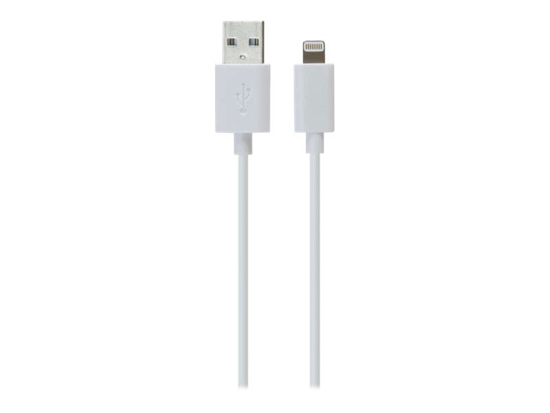 iLuv iCB263 - Cable de datos / alimentación - USB (M) a Lightning (M) - 91.4 cm - blanco - para Apple iPad/iPhone/iPod (Lightning)