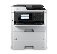 Epson - Workgroup printer - C11CG77301LA