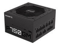 Gigabyte P750GM - Fuente de alimentación (interna) - ATX12V 2.31 - 80 PLUS Gold - CA 100-240 V - 750 vatios - PFC activa