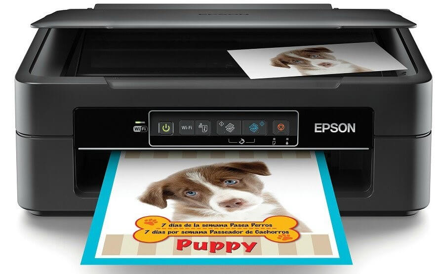 Epson Expression XP-241 - Impresora multifunción - color - chorro de tinta - A4 (210 x 297 mm), Letter A (216 x 279 mm) (original) - A4/Legal (material) - hasta 27 ppm (impresión) - 50 hojas - USB 2.0, Wi-Fi(n)