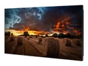 Samsung VM55T-E - 55" Clase diagonal VMT-E Series indicador LED - señalización digital - 1080p (Full HD) 1920 x 1080 - LED de iluminación directa