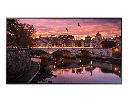 Samsung - LED-backlit LCD monitor - 55" - 3840 x 2160 - IPS - HDMI - Black