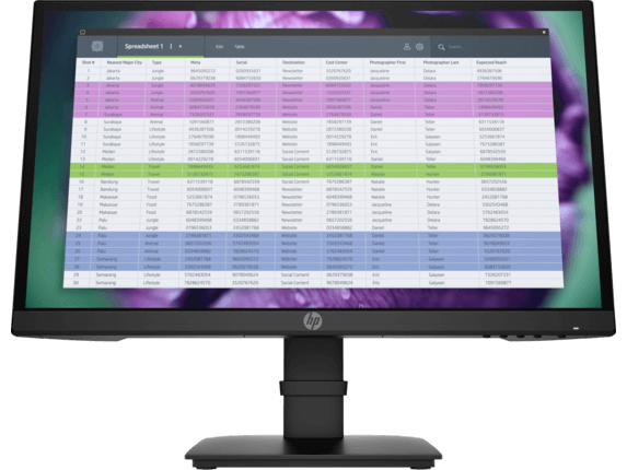 HP P22 G4 - P-Series - monitor LED - 21.5" - 1920 x 1080 Full HD (1080p) @ 60 Hz - IPS - 250 cd/m² - 1000:1 - 5 ms - HDMI, VGA, DisplayPort - negro