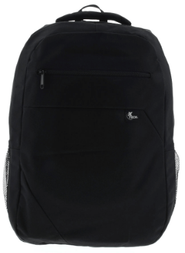 Xtech - Notebook carrying backpack - 15.6" - Durable polyester - Black - Bristol XTB-222