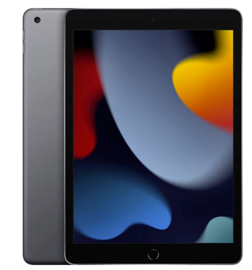 Apple iPad - 10.2" - 4 GB RAM - Gray - 256GB