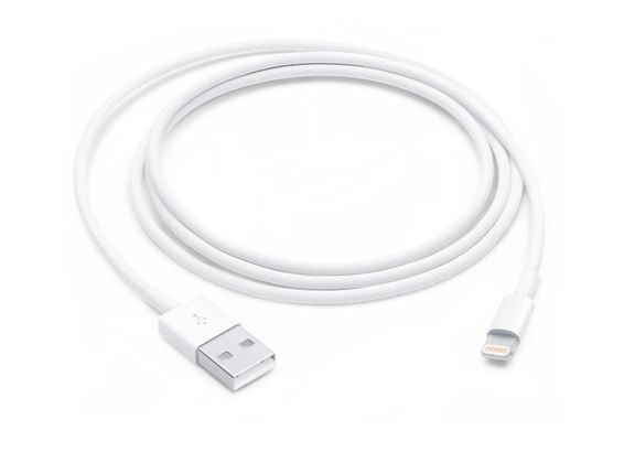 Apple - - Cable Lightning - Lightning macho a USB macho - 1 m - para iPad/iPhone/iPod (Lightning)