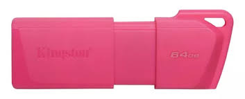 Kingston - USB flash drive - USB 3.2 Gen 1 - NEON (PINK)