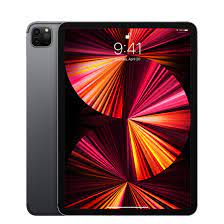 Apple Ipad Pro - 11" - iPad OS 16 - Gray - Wi-Fi+Cellular 256GB Space Gre