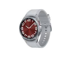 Samsung Galaxy Watch - 6 Classic 42 mm Plata SM-R95