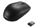 Lenovo 300 Wireless Compact - Ratón - 3 botones - inalámbrico - 2.4 GHz - receptor inalámbrico USB - al por menor