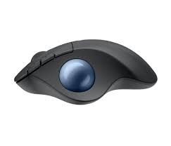 Logitech Ergo Series - Mouse - Graphite+Blue