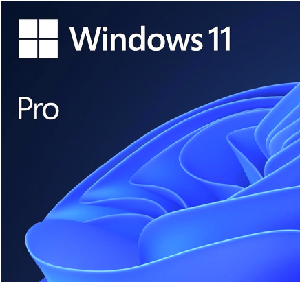 WINDOWS MICROSOFT 11 PRO ESD
