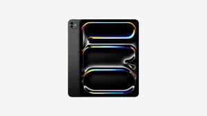 Apple Ipad Pro - 13" - iPad OS17 - M4 - space black - 256 GB - with Standard glass