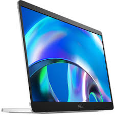 Dell P1425 - LCD monitor - 14" - 1920 x 1200 - IPS - DisplayPort / USB