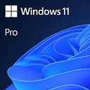 WIND047-WINDOWS MICROSOFT 11 PRO GENUINE ESD 64 BIT