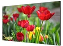 Hikvision - LCD monitor - 55" - 3.5mm LCD Display Unit